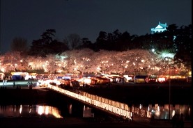 岡崎の桜まつりライトアップの写真