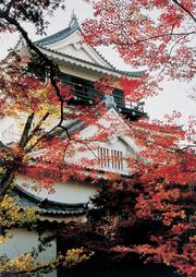 岡崎公園の紅葉の写真